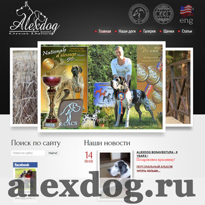 Питомник Alexdog — создание и размещение сайта