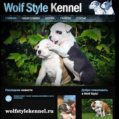 Питомник Wolf Style — создание и размещение сайта